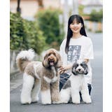 【comif(コミフ)×ROPE' PICNIC】アソートTシャツ | ROPE' PICNIC | 詳細画像4 