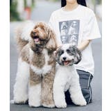 【comif(コミフ)×ROPE' PICNIC】アソートTシャツ | ROPE' PICNIC | 詳細画像5 