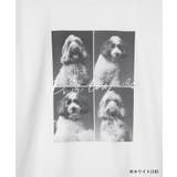 【comif(コミフ)×ROPE' PICNIC】アソートTシャツ | ROPE' PICNIC | 詳細画像50 