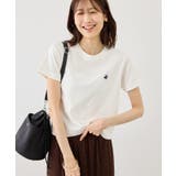 オフホワイト(15) | 【BEVERLYHILLS POLO CLUB | ROPE' PICNIC