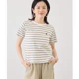 キナリ(16) | 【BEVERLYHILLS POLO CLUB | ROPE' PICNIC