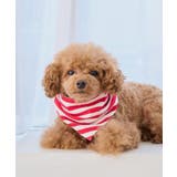 【DOG】バンダナ スカーフ | ROPE' PICNIC | 詳細画像1 