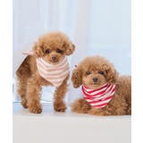 【DOG】バンダナ スカーフ | ROPE' PICNIC | 詳細画像11 