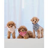 【DOG】バンダナ スカーフ | ROPE' PICNIC | 詳細画像12 