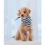 【DOG】バンダナ スカーフ | ROPE' PICNIC | 詳細画像2 