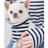 【DOG】バンダナ スカーフ | ROPE' PICNIC | 詳細画像3 