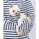 【DOG】バンダナ スカーフ | ROPE' PICNIC | 詳細画像4 