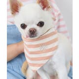 【DOG】バンダナ スカーフ | ROPE' PICNIC | 詳細画像8 