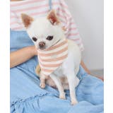 【DOG】バンダナ スカーフ | ROPE' PICNIC | 詳細画像9 