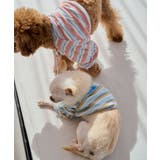 【DOG】マルチボーダーリブボレロ | ROPE' PICNIC | 詳細画像10