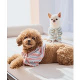 【DOG】マルチボーダーリブボレロ | ROPE' PICNIC | 詳細画像12