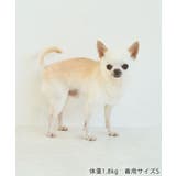 【DOG】マルチボーダーリブボレロ | ROPE' PICNIC | 詳細画像15