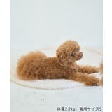 【DOG】マルチボーダーリブボレロ | ROPE' PICNIC | 詳細画像16