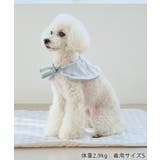 【DOG】マルチボーダーリブボレロ | ROPE' PICNIC | 詳細画像18