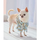 【DOG】マルチボーダーリブボレロ | ROPE' PICNIC | 詳細画像3