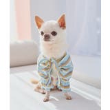 【DOG】マルチボーダーリブボレロ | ROPE' PICNIC | 詳細画像4