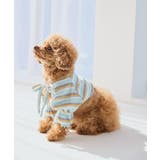 【DOG】マルチボーダーリブボレロ | ROPE' PICNIC | 詳細画像5