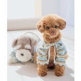 【DOG】マルチボーダーリブボレロ | ROPE' PICNIC | 詳細画像6