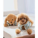 【DOG】マルチボーダーリブボレロ | ROPE' PICNIC | 詳細画像7