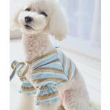 サックス(48) | 【DOG】マルチボーダーリブボレロ | ROPE' PICNIC