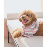 ピンク(63) | 【DOG】マルチボーダーリブボレロ | ROPE' PICNIC