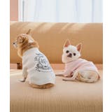 【DOG】スエットライク刺繍ニット/リンクコーデ | ROPE' PICNIC | 詳細画像10 