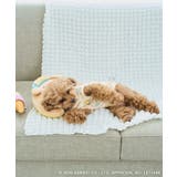 【サンリオキャラクターズ×ROPE PICNIC】【DOG】日焼けデザイン あご… | ROPE' PICNIC | 詳細画像20