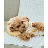 【サンリオキャラクターズ×ROPE PICNIC】【DOG】日焼けデザイン あご… | ROPE' PICNIC | 詳細画像21