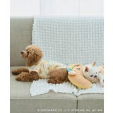 【サンリオキャラクターズ×ROPE PICNIC】【DOG】日焼けデザイン あご… | ROPE' PICNIC | 詳細画像24