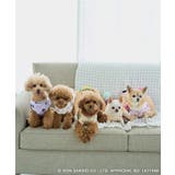 【サンリオキャラクターズ×ROPE PICNIC】【DOG】日焼けデザイン あご… | ROPE' PICNIC | 詳細画像28