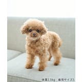 【サンリオキャラクターズ×ROPE PICNIC】【DOG】日焼けデザイン あご… | ROPE' PICNIC | 詳細画像42