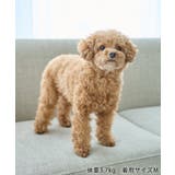 【サンリオキャラクターズ×ROPE PICNIC】【DOG】日焼けデザイン あご… | ROPE' PICNIC | 詳細画像43