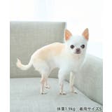 【サンリオキャラクターズ×ROPE PICNIC】【DOG】日焼けデザイン あご… | ROPE' PICNIC | 詳細画像45