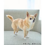 【サンリオキャラクターズ×ROPE PICNIC】【DOG】日焼けデザイン あご… | ROPE' PICNIC | 詳細画像46