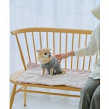 【DOG】もちもちマット | ROPE' PICNIC | 詳細画像2