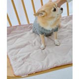 【DOG】もちもちマット | ROPE' PICNIC | 詳細画像3