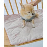 【DOG】もちもちマット | ROPE' PICNIC | 詳細画像4