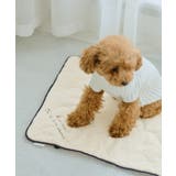 【DOG】もちもちマット | ROPE' PICNIC | 詳細画像6