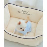 【DOG】もちもちベッド | ROPE' PICNIC | 詳細画像1