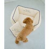 【DOG】もちもちベッド | ROPE' PICNIC | 詳細画像10