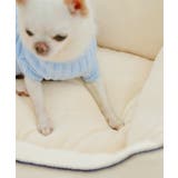 【DOG】もちもちベッド | ROPE' PICNIC | 詳細画像8