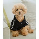 【DOG】サイドラインパーカー/リンクコーデ | ROPE' PICNIC | 詳細画像5