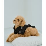 【DOG】サイドラインパーカー/リンクコーデ | ROPE' PICNIC | 詳細画像7