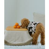 【DOG】アーガイルニットプルオーバー | ROPE' PICNIC | 詳細画像13