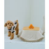 【DOG】アーガイルニットプルオーバー | ROPE' PICNIC | 詳細画像14