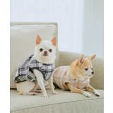 【DOG】チェック柄シャギーベスト | ROPE' PICNIC | 詳細画像14