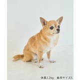 【DOG】チェック柄シャギーベスト | ROPE' PICNIC | 詳細画像17