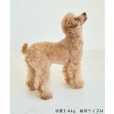 【DOG】チェック柄シャギーベスト | ROPE' PICNIC | 詳細画像19