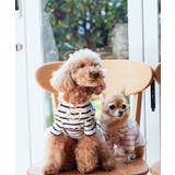 【DOG】レースアップボーダーカットソー | ROPE' PICNIC | 詳細画像1