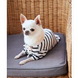 【DOG】レースアップボーダーカットソー | ROPE' PICNIC | 詳細画像13